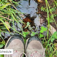 Fundraising Page: Ann Love